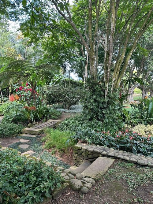 Lote en venta en Pance, Cali, 600 m² · foto 16 de 24