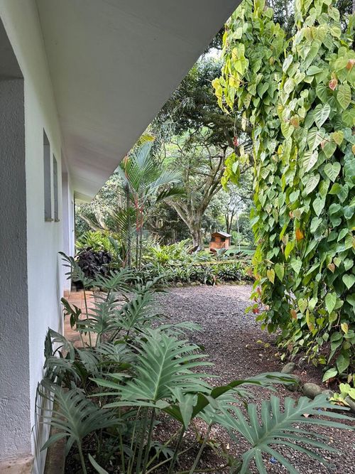 Lote en venta en Pance, Cali, 600 m² · foto 23 de 24