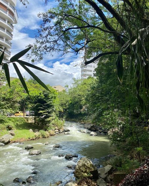 Apartamento en venta en Santa Rita, Cali · foto 2 de 23
