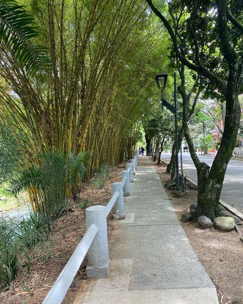Apartamento en venta en Santa Rita, Cali · foto 3 de 23