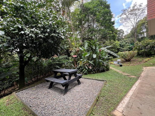Apartamento en arriendo en Vizcaya, Medellín · foto 7 de 20