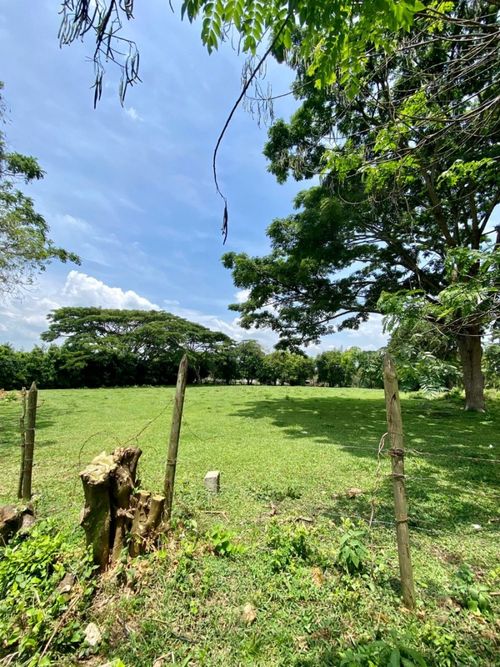 Lote en venta en Pance, Cali, 5012 m² · foto 3 de 8