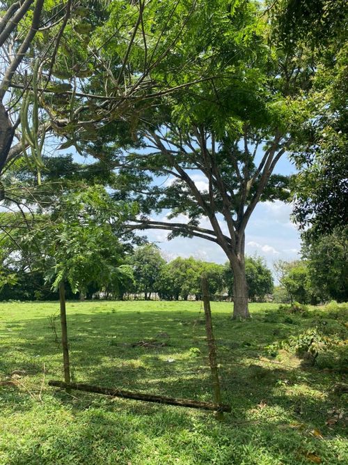 Lote en venta en Pance, Cali, 5012 m² · foto 4 de 8