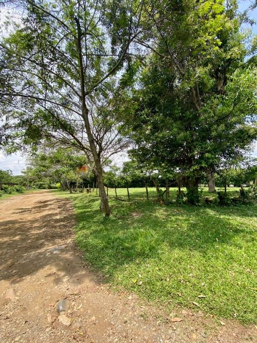 Lote en venta en Pance, Cali, 5012 m² · foto 5 de 8