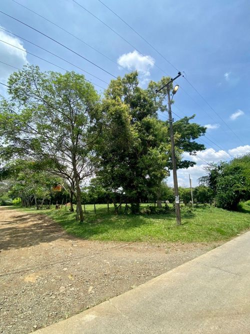 Lote en venta en Pance, Cali, 5012 m² · foto 6 de 8