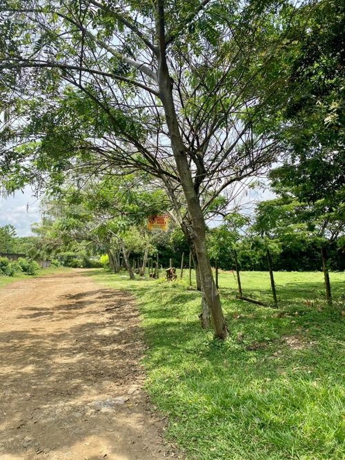 Lote en venta en Pance, Cali, 5012 m² · foto 7 de 8