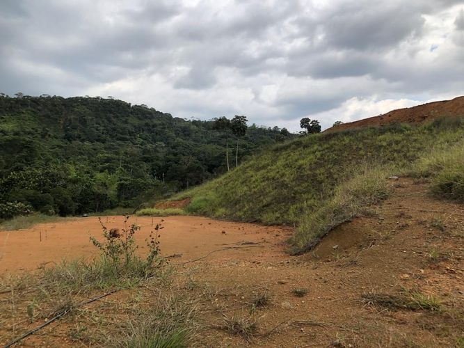 Lote en venta en Pance, Cali, 12000 m² · foto 4 de 12