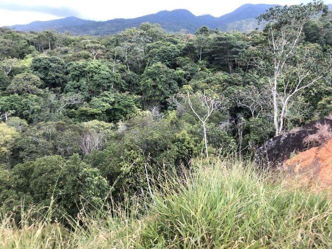 Lote en venta en Pance, Cali, 12000 m² · foto 6 de 12