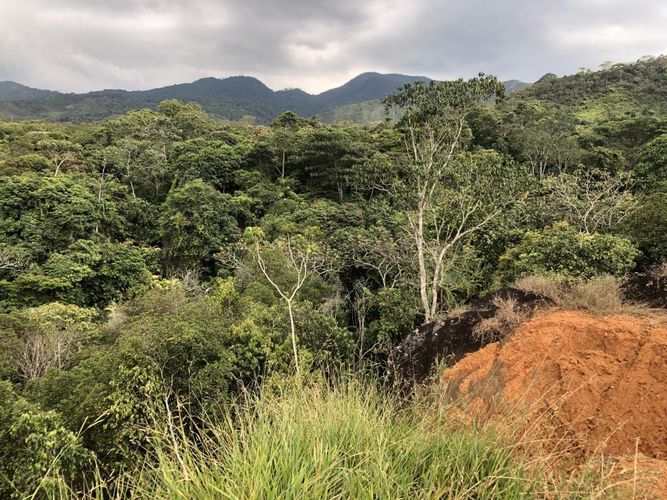 Lote en venta en Pance, Cali, 12000 m² · foto 7 de 12