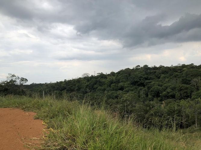 Lote en venta en Pance, Cali, 12000 m² · foto 11 de 12