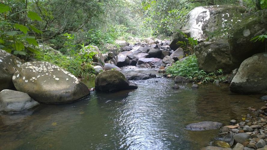 Lote en venta en Pance, Cali, 12000 m² · foto 12 de 12