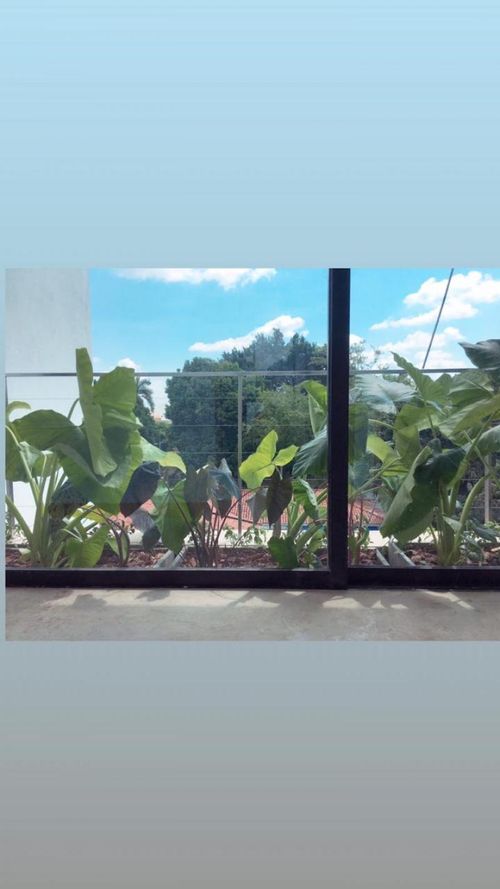 Apartamento de 3 alcobas en venta en Ciudad Jardin, Cali, 263 m² · foto 7 de 15