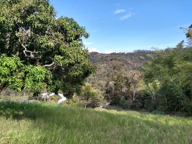 Lote en venta en La Buitrera, Cali, 33689 m² · foto 2 de 11
