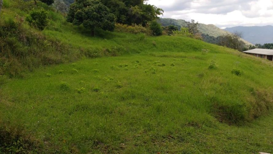 Lote en venta en La Buitrera, Cali, 33689 m² · foto 6 de 11