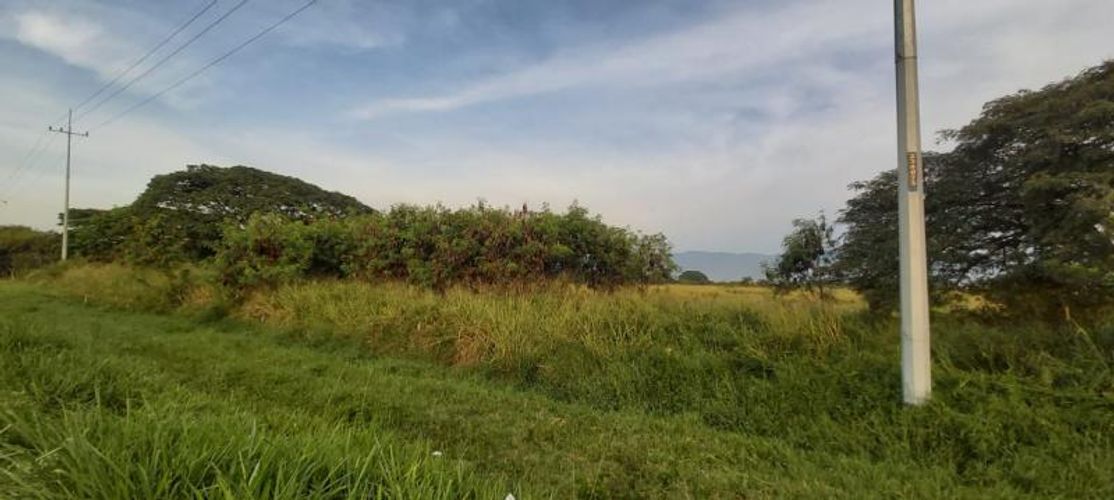 Lote en venta en La Torre, Palmira, 55500 m² · foto 3 de 6