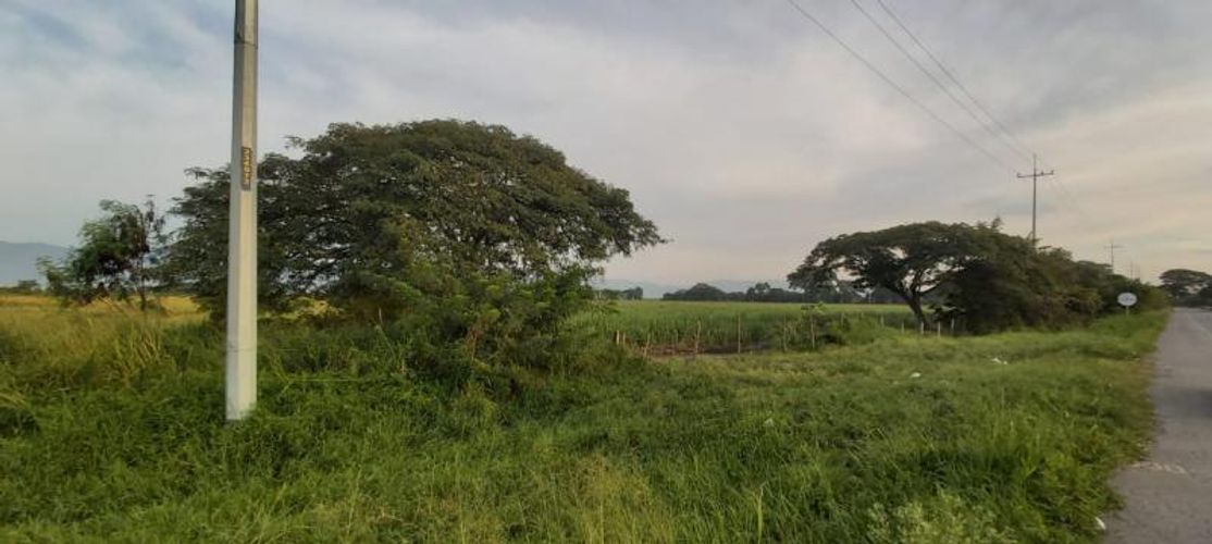 Lote en venta en La Torre, Palmira, 55500 m² · foto 5 de 6