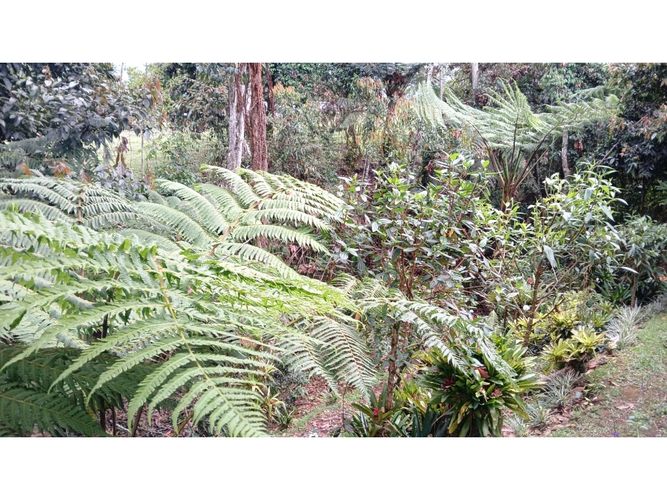 Casa de 4 alcobas en venta en Guamito, La Ceja, 325 m² · foto 15 de 16