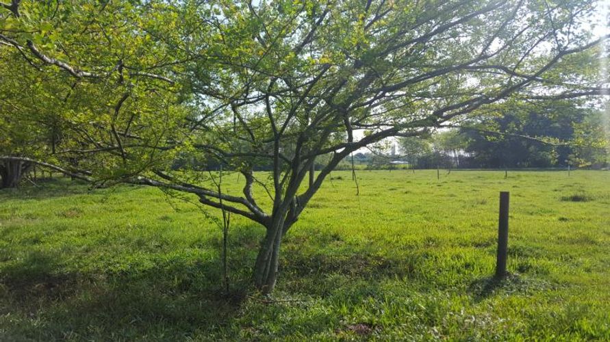 Lote en venta en Porerito, Jamundí, 48560 m² · foto 3 de 12