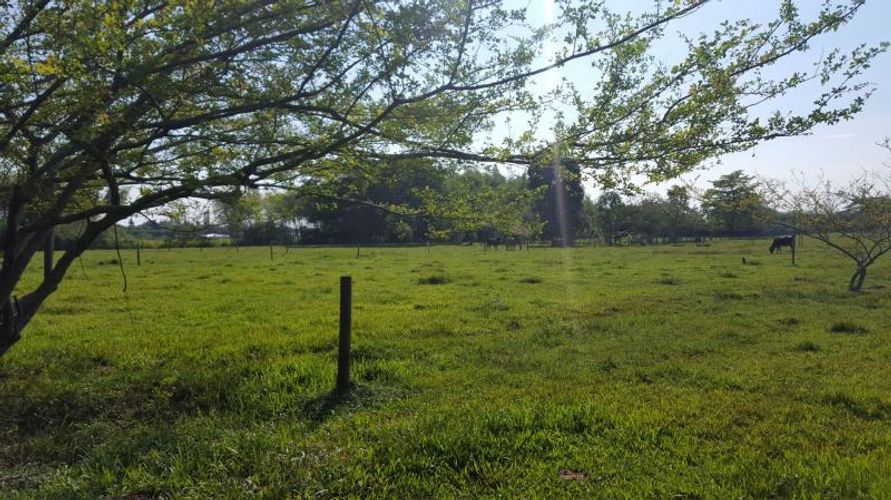Lote en venta en Porerito, Jamundí, 48560 m² · foto 4 de 12