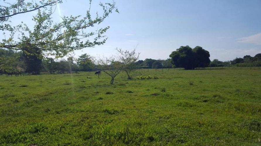 Lote en venta en Porerito, Jamundí, 48560 m² · foto 9 de 12