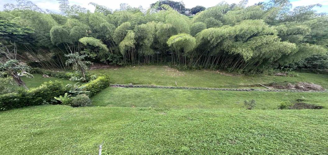Lote en venta en Pueblito Cafetero, Pereira · foto 5 de 13