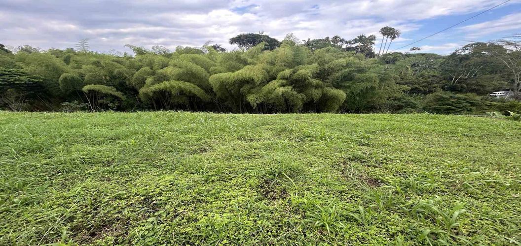 Lote en venta en Pueblito Cafetero, Pereira · foto 10 de 13