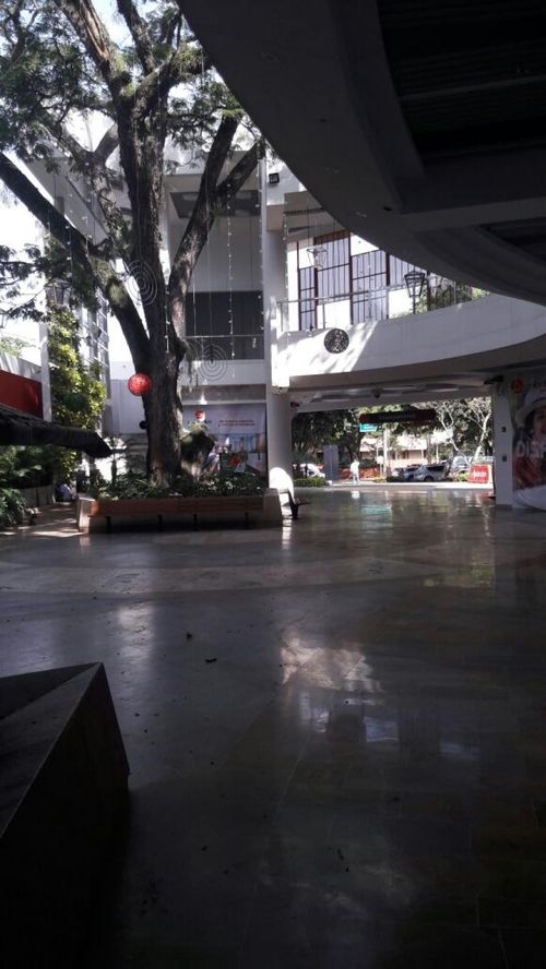 Local en arriendo en Multicentro, Cali, 37 m² · foto 17 de 18
