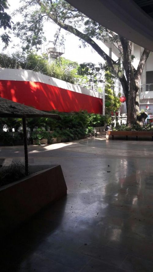 Local en arriendo en Multicentro, Cali, 37 m² · foto 18 de 18