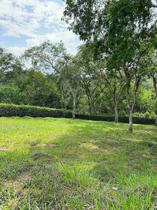 Lote en venta en Kilometro 41, Manizales, 2720 m² · foto 10 de 24