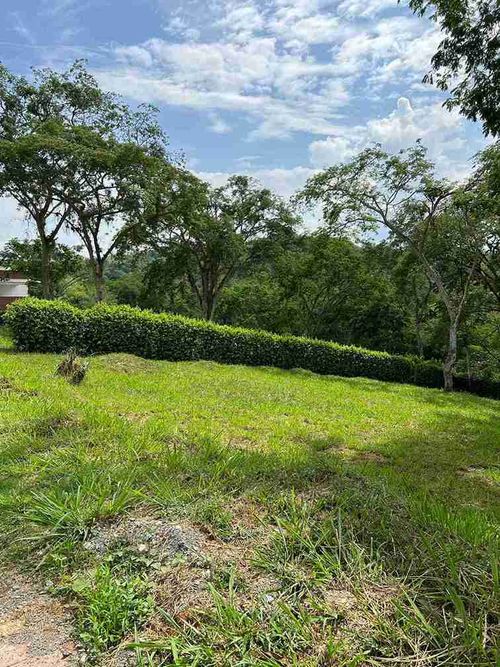 Lote en venta en Kilometro 41, Manizales, 2720 m² · foto 12 de 24