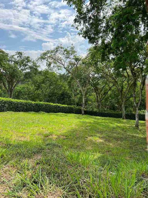 Lote en venta en Kilometro 41, Manizales, 2720 m² · foto 13 de 24