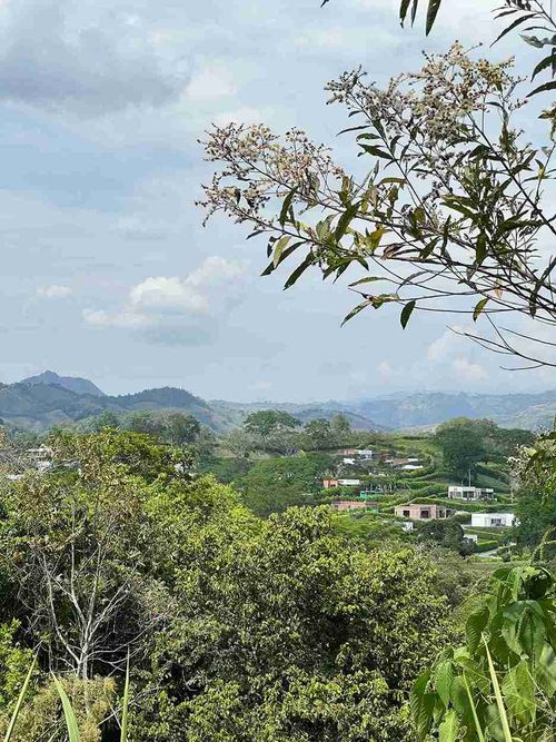 Lote en venta en Kilometro 41, Manizales, 2720 m² · foto 24 de 24