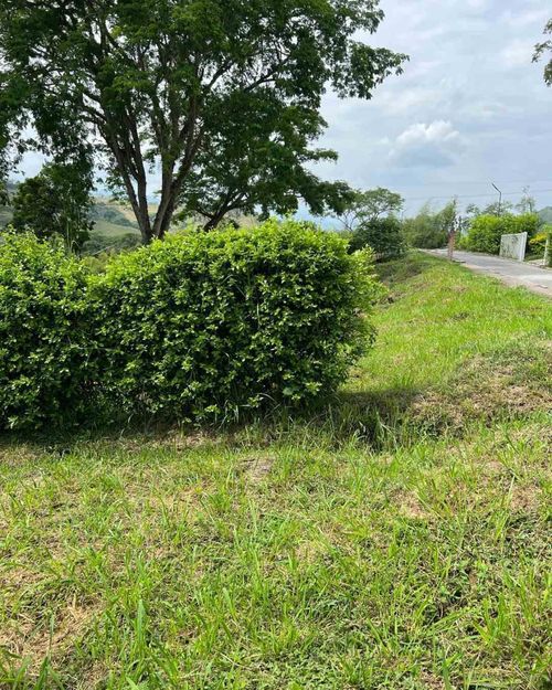 Lote en venta en Colombia, Manizales, 1370 m² · foto 8 de 24