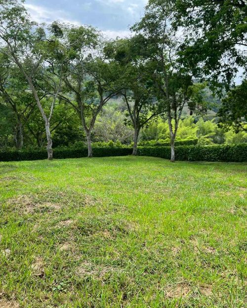 Lote en venta en Colombia, Manizales, 1370 m² · foto 9 de 24
