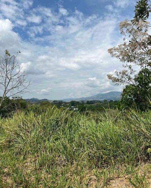 Lote en venta en Colombia, Manizales, 1370 m² · foto 24 de 24