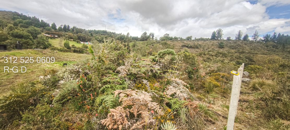 Finca en venta en Canavita, Tocancipá, 31099 m² · foto 11 de 24