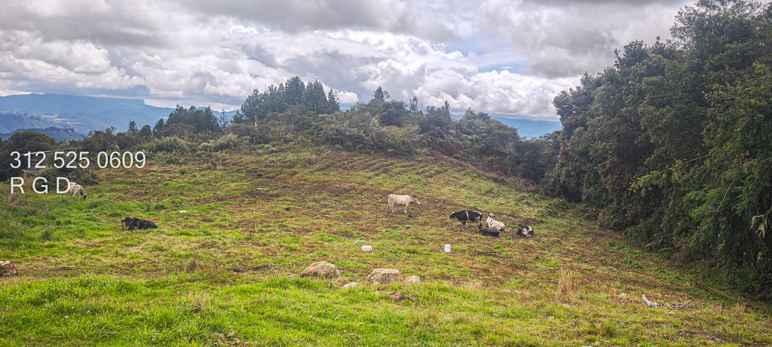 Finca en venta en Canavita, Tocancipá, 31099 m² · foto 14 de 24