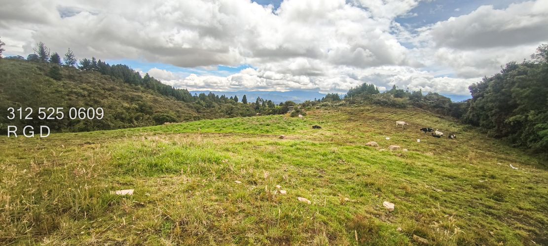 Finca en venta en Canavita, Tocancipá, 31099 m² · foto 15 de 24