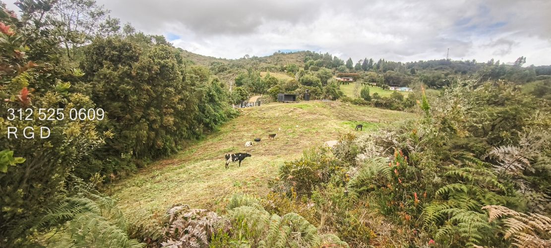 Finca en venta en Canavita, Tocancipá, 31099 m² · foto 19 de 24