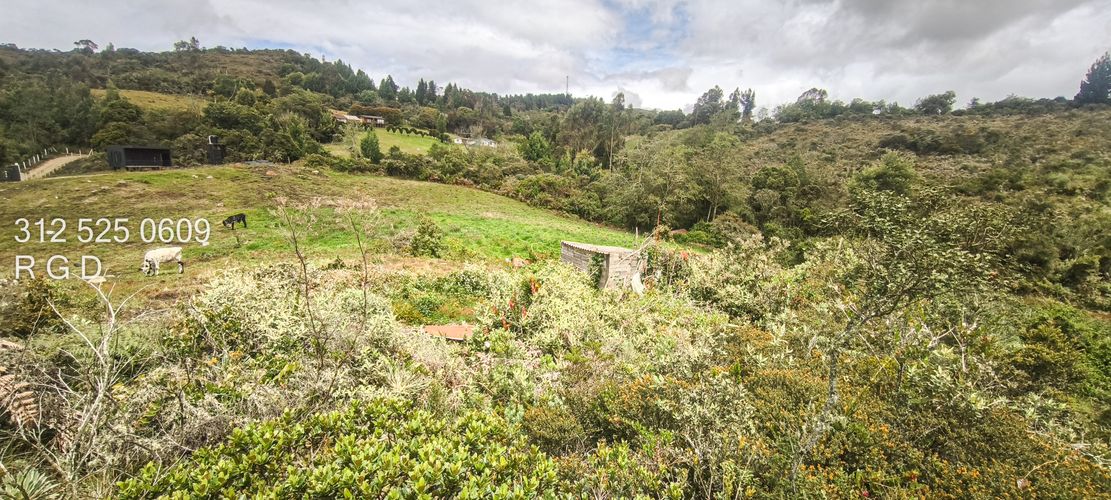 Finca en venta en Canavita, Tocancipá, 31099 m² · foto 21 de 24