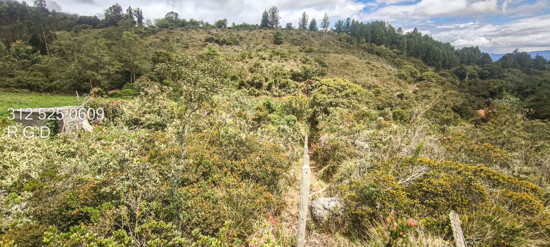 Finca en venta en Canavita, Tocancipá, 31099 m² · foto 22 de 24