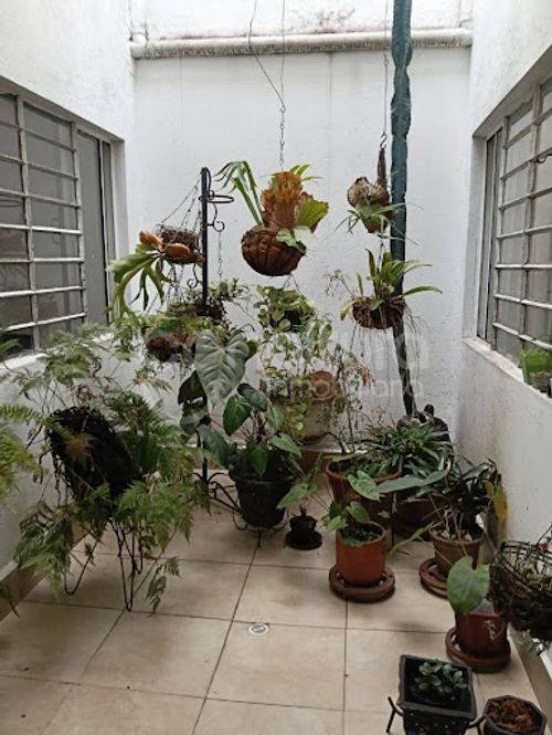 Casa de 4 alcobas en venta en Laureles, Medellín, 250 m² · foto 12 de 12