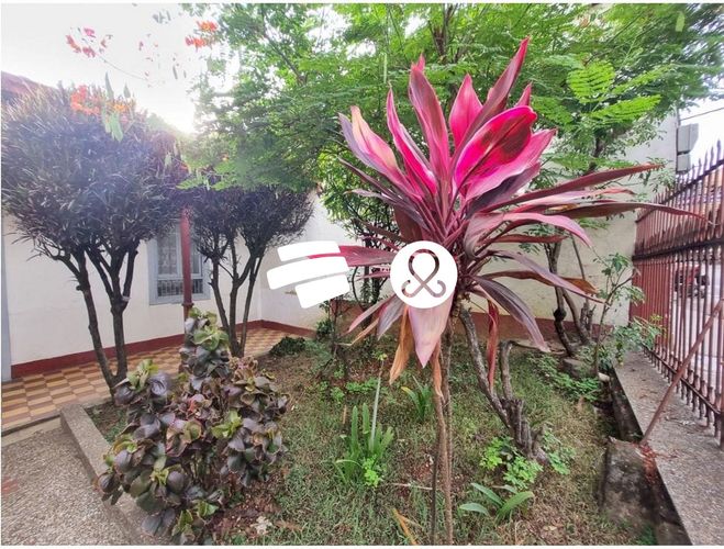 Casa de 4 alcobas en venta en Andalucia, Bello, 1174 m² · foto 11 de 13