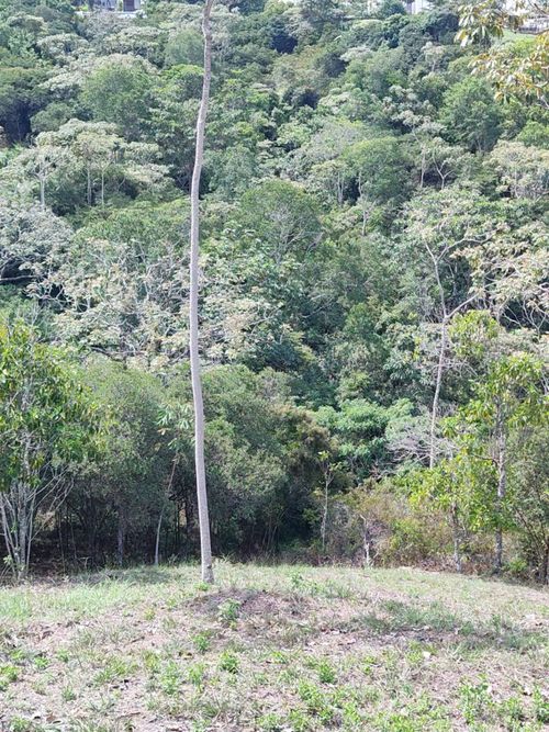 Lote en venta en Pance, Cali, 12 m² · foto 5 de 14
