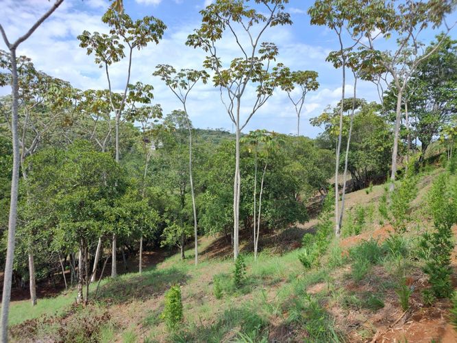 Lote en venta en Pance, Cali, 12 m² · foto 6 de 14