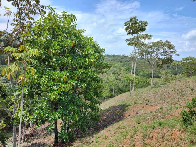 Lote en venta en Pance, Cali, 12 m² · foto 14 de 14