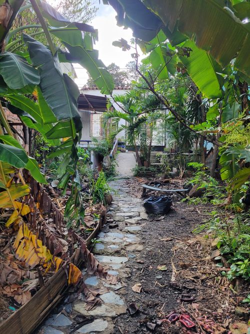 Lote en venta en San Cayetano, Cali, 339 m² · foto 3 de 21
