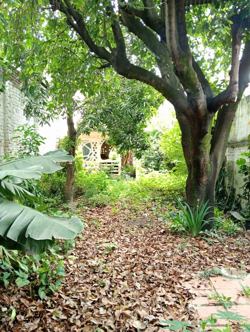 Lote en venta en San Cayetano, Cali, 339 m² · foto 9 de 21