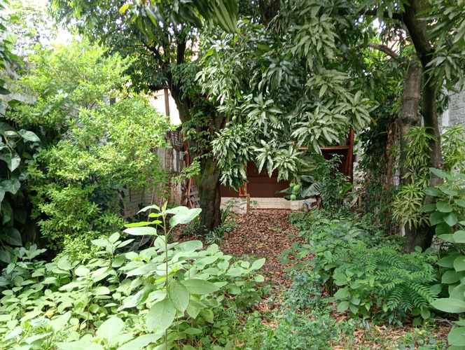 Lote en venta en San Cayetano, Cali, 339 m² · foto 17 de 21