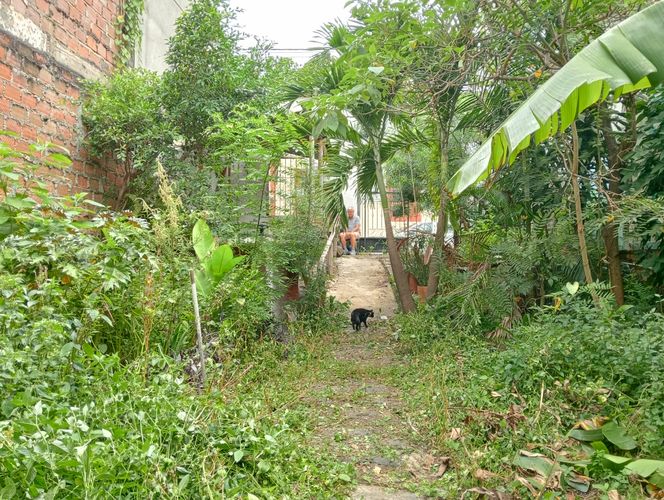 Lote en venta en San Cayetano, Cali, 339 m² · foto 19 de 21